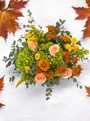 Tiptoe Into Fall – photo 2